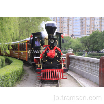 遊園地公園は屋外スチームトラックトレーンに乗る